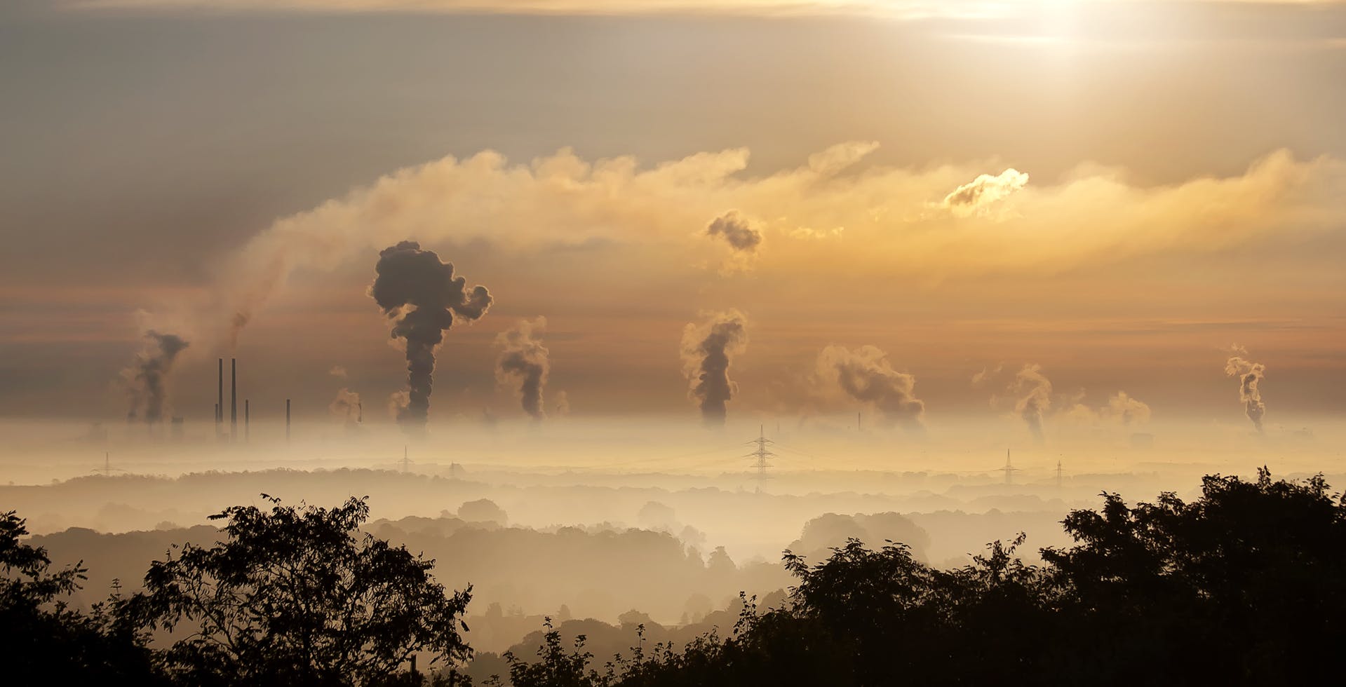 Carbon Footprint (คาร์บอน ฟุตพริ้นท์) คืออะไร? พร้อมวิธีคำนวณที่ธุรกิจต้องรู้