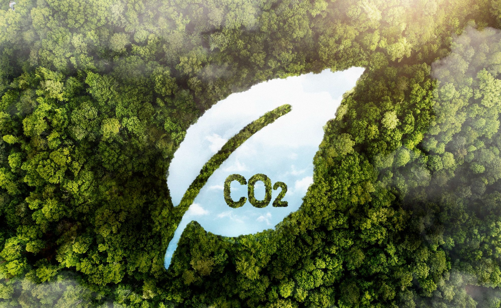 Carbon Footprint (คาร์บอน ฟุตพริ้นท์) คืออะไร? พร้อมวิธีคำนวณที่ธุรกิจต้องรู้