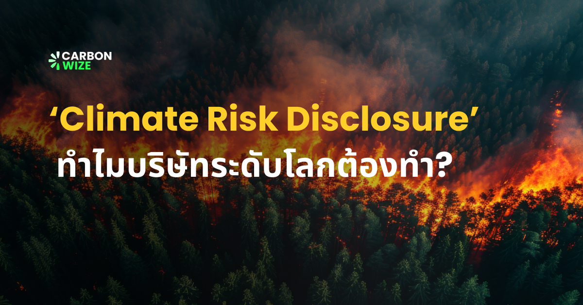 Climate Risk Disclosure คืออะไร ทำไมบริษัทระดับโลกต้องทำ?