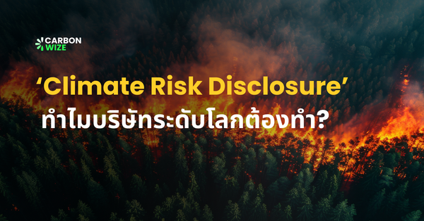 Climate Risk Disclosure คืออะไร ทำไมบริษัทระดับโลกต้องทำ?